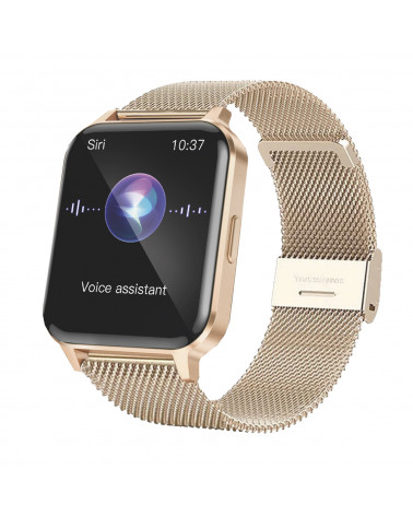 Verbundene Uhr - Smarty2.0 - SW064H - Metallgehäuse - Milanaise-Mesh-Armband - Bluetooth-Anruf - Sprachassistentin